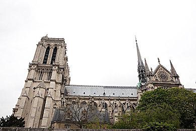 森林之子滑翔翼在哪获得？森林之子滑翔机位置图大全